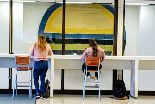 Two students seen from the back studying at a desk in front of a circular tapestry.